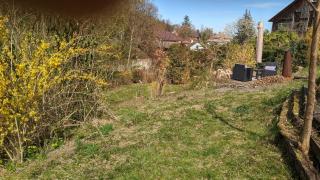 20 min nach Wien, Ruhig und Grün - 5