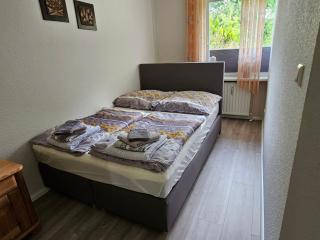 Ferienwohnung 1 Am Park - Divitz - 9