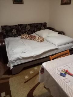 Apartament Ioana - Timişoara - 3