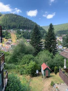 Gemütliches Einzimmer-Apartment 33 - Bad Wildbad - 8