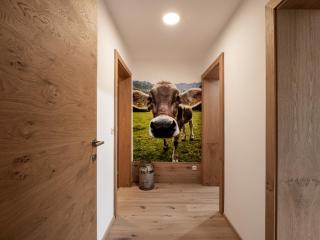 Bergpanorama Kössen - Kössen - 0