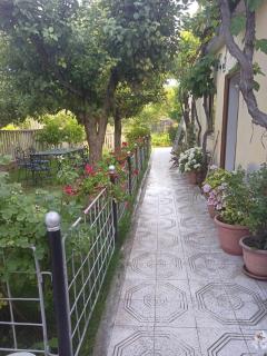 Kristina Mitllari 2 - Pogradec - 3