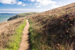 Limantour Lodge - Point Reyes Station - 2
