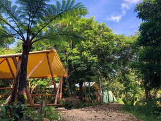 RAINBOW FOREST Permaculture filed - Vacation STAY 78984v - Ibaruma - 9