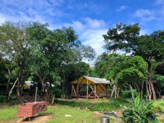 RAINBOW FOREST Permaculture filed - Vacation STAY 78984v - Ibaruma - 8
