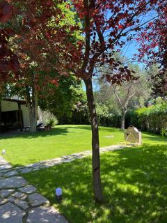 Villa Diomedes - Sani Beach - 6