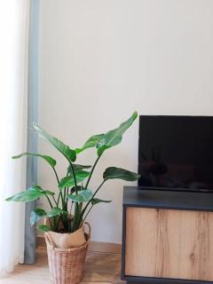 Ribeira - Vivero - 3