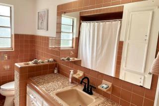 Stunning Heated Pool & Spa House Blocks to Midtown - Tampa - 4