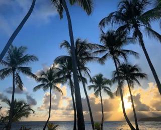 Studio Azur, résidence privée et piscines - 1