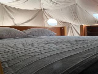 Domescape Glamping - El Cedro - 1