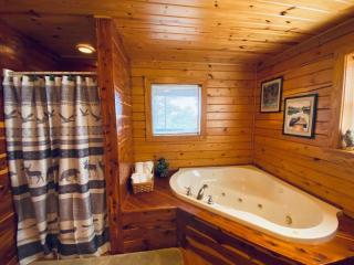 Chalet with a view at Bear Mountain - Hottub - Eureka Springs - 4
