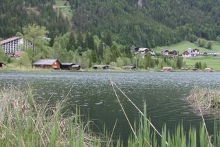 Haus Alpina - Weissensee - 6
