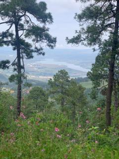 Cabaña sueño real - Mazamitla - 2