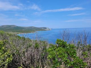 Studio LA MOUTONNE tt équipé 20 m2 10mn plages- hyeres - TRES CALME- - La Crau - 1