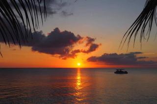 Beach Living at Island Pine Villas BLP - George Town - 1