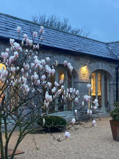 The Garden Rooms at The Courtyard,Townley Hall - 2