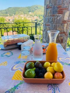 B&B Girasole - Torraca - 4