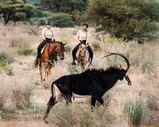 Gabus Safari Lodge - 9