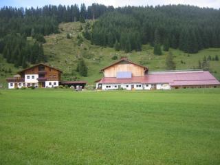 Lenzerhof - Grän - 6