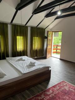 Azra River View House - Bihać - 3