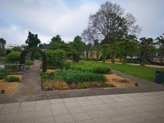 Hemel Home (Town Center) - Hemel Hempstead - 1