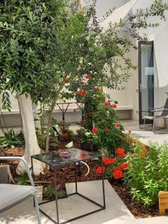 Patio 101 "Exclusive" - 4