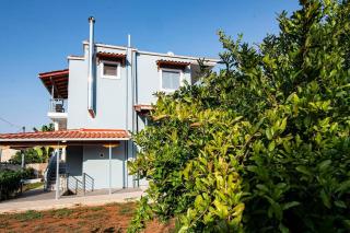 Ada's Garden House - Mitikas - 7