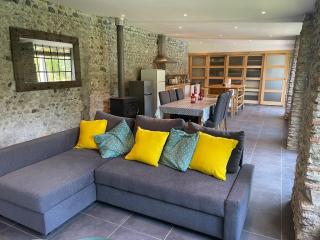 Chateau pool house - Assat - 7