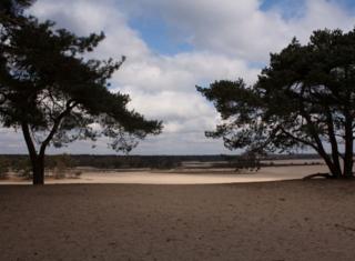 Natuurhuisje Oisterwijk Bedstee - Oisterwijk - 2