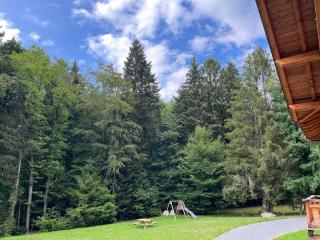 Chalet au cœur des bois - Larringes - 8