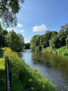 'Maigue View' by the River - 1