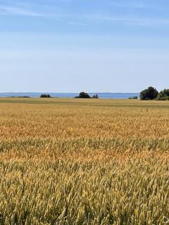 Munkgaard INN & OUTDOOR - 1