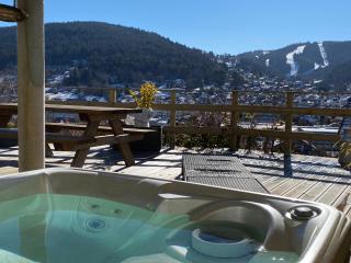 AU NID COSY D'ISA A GERARDMER VOSGES - Spas privatifs - 9