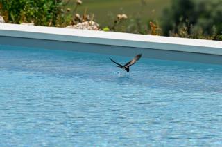 AgriRelais San Giovanni - Capestrano - 5