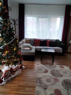CASA ALY - Nucşoara - 6