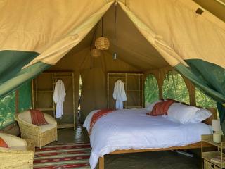 Echoes of Eden: Forest Haven - Naivasha - 2