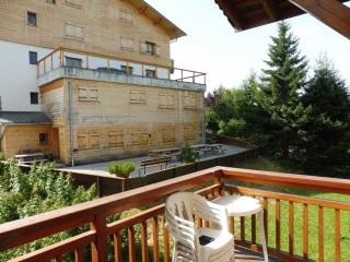 Appartement cosy 6 pers à 300m des pistes avec garage et mezzanine - Crest-Voland - FR-1-595-80 - Crest-Voland - 1