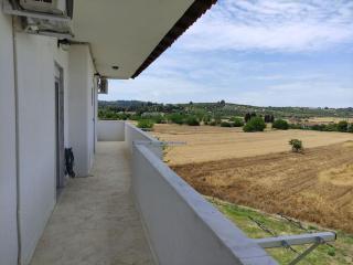 Birdsong studio - Possidi - 7