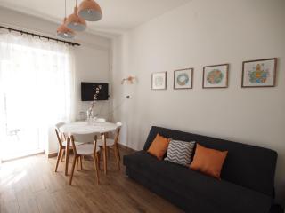 In the Center of Rogaška Slatina! Apartment Fani and Studio Marija - 1