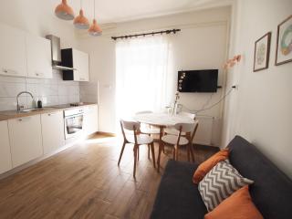 In the Center of Rogaška Slatina! Apartment Fani and Studio Marija - 3