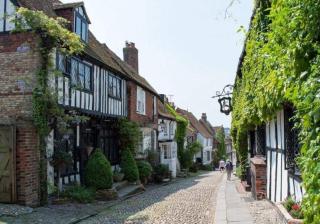 Cadborough Cliff Apartment - Rye - 3