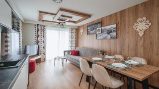 Apartamenty Sun & Snow Resorts L Białka Tatrzańska z sauną - Białka Tatrzańska - 9
