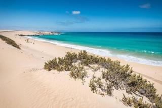 B-Rent Alisios Playa Isla Bonita - Corralejo - 8