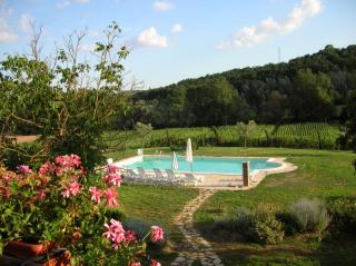 Agriturismo Il Poderino - Asciano - 7