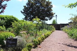 S'Harzala Taupe - Bergheim - 5