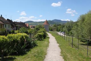 S'Harzala Taupe - Bergheim - 1