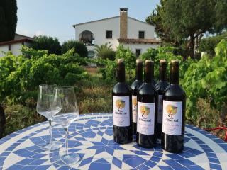 Casa Llibertat boutique stay with spa - Lliber - 3