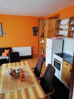 Zlatibor Apartman Tomić 54m2 - Zlatibor - 3
