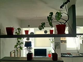 Lovely apartment close to the sea - Vlorë - 8