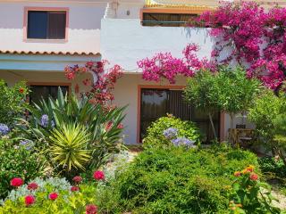 Feliz Apartments - São Bartolomeu de Messines - 3